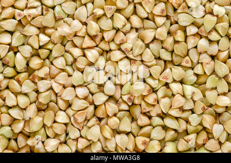 Geschält gemeinsame Buchweizen Getreide, Makro Foto von oben. Glutenfreie pseudocereal. Fagopyrum esculentum, auch als Japanische oder silverhull Buchweizen bekannt Stockfoto