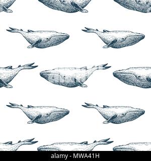 Nahtlose Muster von Hand gezeichnete Skizze stil Wale auf weißem Hintergrund. Vector Illustration. Stock Vektor