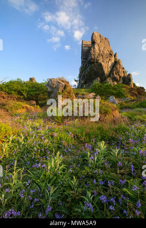 Frühling Blumen bei Roche Rock Stockfoto