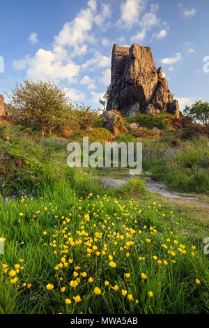 Frühling Blumen bei Roche Rock Stockfoto