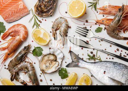 Rohe Fische und verschiedene Meeresfrüchte, mit Kräutern und Zitronen isoliert auf weißem Stockfoto