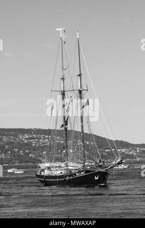 Tall Ships Race Bergen 2014. Die niederländische Gulet "Galanten" den Hafen von Bergen, Norwegen eingeben Stockfoto