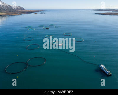 Luftaufnahme, Fischzucht in großen Wasser Netze im Meer, Fjord, Island Stockfoto