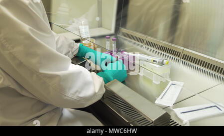Mikrobiologe ist die Durchführung von Forschungsarbeiten und Tests mit biologischen Proben. Wissenschaftler Wissenschaftler verwendet Mikropipette Füllung Reagenzgläser im Labor. Stockfoto