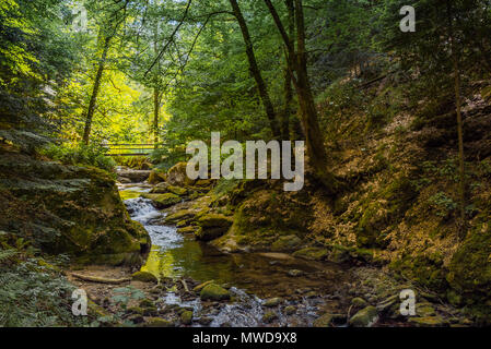 Wasserfall Geroldsau, im Tal von Baden-Baden, Deutschland, Rinne durch dunkle grünen Wald mit diffusem Sonnenlicht und Brücke, Fluss Grobbach Stockfoto