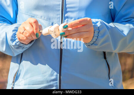 Ein Mädchen in einem blauen Jacke hält ein Marshmallow für ein Lagerfeuer auf einem Spieß Stockfoto