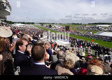 Epsom Downs, Surrey, UK, 1. Juni, 2018 Das Feld lädt Bis die Amtsleitung 4 Feld Wegs von Investec Ladies Day vor angesammelten Massen auf der Surrey Downs. Credit: Motofoto/Alamy leben Nachrichten Stockfoto