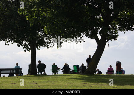 Epsom Downs Surrey UK. 1. Juni 2018. Die Einheimischen beobachten die Racing aus dem Hügel auf Tattenham Ecke auf Damen Tag in Epsom Downs Surrey. Credit: Julia Gavin/Alamy leben Nachrichten Stockfoto