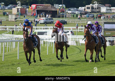 Epsom Downs Surrey UK. 1. Juni 2018. Die Eichen in Epsom Downs. Position für den Start Gewinner für immer zusammen geritten von Donnacha O'Brien in Orange und Blau Streifen. Credit: Julia Gavin/Alamy leben Nachrichten Stockfoto