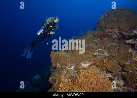 Fuvahmulah Insel, Indischer Ozean, Malediven. 11 Feb, 2018. Weibliche Scuba diver Lool am wunderschönen Korallenriff mit Weichkorallen - Leder Coral Credit: Andrey Nekrasov/ZUMA Draht/ZUMAPRESS.com/Alamy leben Nachrichten Stockfoto