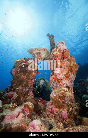 Fuvahmulah Insel, Indischer Ozean, Malediven. 11 Feb, 2018. Weibliche Taucher sieht durch eine Koralle arch Credit: Andrey Nekrasov/ZUMA Draht/ZUMAPRESS.com/Alamy leben Nachrichten Stockfoto