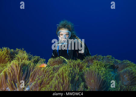 Fuvahmulah Insel, Indischer Ozean, Malediven. 13 Mär, 2018. Weibliche Scuba Diver schaut auf Große schöne Anemone - Wunderschöne Seeanemone Credit: Andrey Nekrasov/ZUMA Draht/ZUMAPRESS.com/Alamy leben Nachrichten Stockfoto