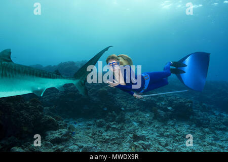 Fuvahmulah Insel, Indischer Ozean, Malediven. 10 Feb, 2018. Weibliche freediverin Schwimmen in der Nähe von Tiger Shark Credit: Andrey Nekrasov/ZUMA Draht/ZUMAPRESS.com/Alamy leben Nachrichten Stockfoto