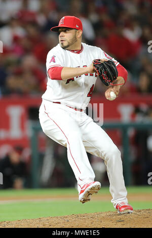 Kalifornien, USA. 1. Juni 2018. Los Angeles Engel Entlastung Krug Jose Alvarez (48) Plätze in der Entlastung für die Engel im Spiel zwischen den Texas Rangers und die Los Angeles Angels Anaheim Angel Stadium in Anaheim, CA, Fotograf: Peter Joneleit Credit: Cal Sport Media/Alamy leben Nachrichten Stockfoto