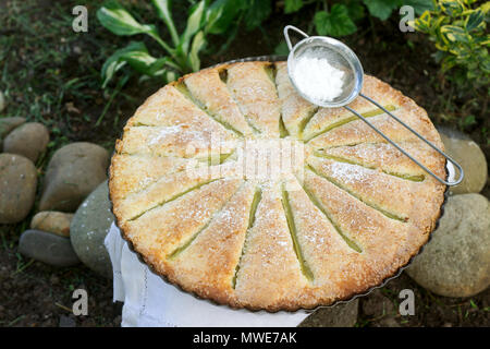 Eine große hausgemachte Kuchen mit Rhabarber Streifen in Zinn. Im rustikalen Stil. Stockfoto