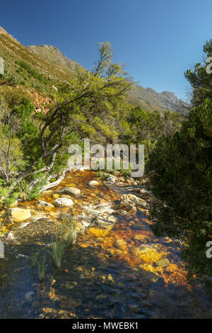 Eerste River durch Anrainerstaaten Landschaft der Jonkershoek Naturreservat fließende, Garden Route, Südafrika Stockfoto