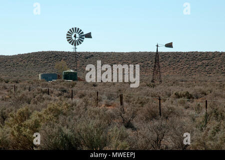 Straße zwischen Quorn und Hawker South Australia, Windmühle und Wassertanks im Fahrerlager von Saltbush Stockfoto