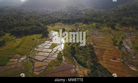 Terrasse Reisfeld von luftaufnahme. Luftaufnahme von einem Reisfeld. Terrasse Reisfeld von auf dem Hintergrund der Berge und Hügel. Philippinen, Camiguin. Stockfoto