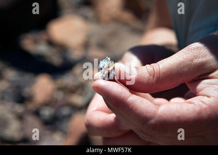 Rock Muster in Nahaufnahme am Verbrannten Berg Twyfelfontein Damaraland Namibia Stockfoto