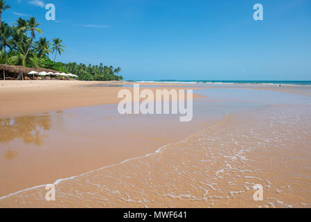 Itacaré, Brasilien - Dezember 8, 2016: Touristen, Barra Grande Strand am Ponta do Muta Brasilien entfernt Stockfoto