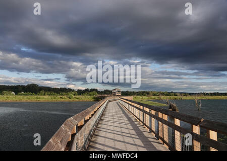 Boardwalk an Nisqually National Wildlife Refuge bei Flut, Mai 2018 Stockfoto