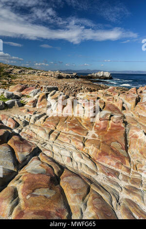 Rock Plattform im Sonnenschein, hermabnus Stadtzentrum, Garden Route, Südafrika Stockfoto