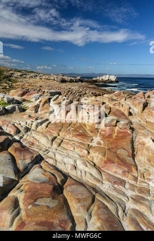 Rock Plattform im Sonnenschein, hermabnus Stadtzentrum, Garden Route, Südafrika Stockfoto