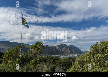 Die südafrikanische Flagge auf dem hermabnus Cliff Walk, Garden Route, Südafrika Stockfoto