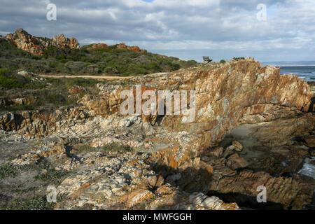 Felsformationen Landschaft auf der Hermanus an der Küste zu Fuß, hermabnus auf der Garden Route, Südafrika Stockfoto