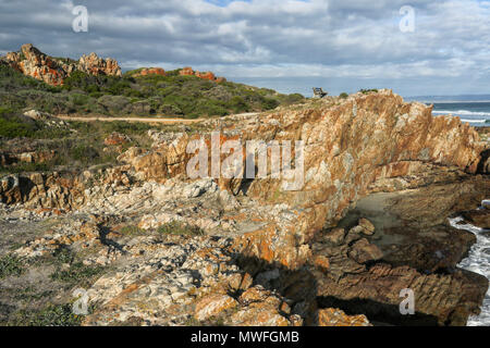 Felsformationen Landschaft auf der Hermanus an der Küste zu Fuß, hermabnus auf der Garden Route, Südafrika Stockfoto