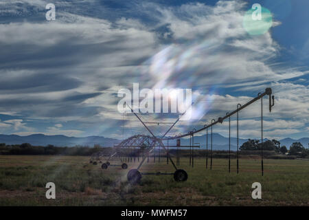 Bewässerung Maschine und dramatische Wolken auf Ackerland in Oudtshoorn an der Garden Route, Südafrika Stockfoto