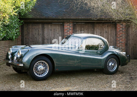 Jaguar XK 120 1954 fester Kopf mit braunem Leder Motorhaube Riemen Stockfoto