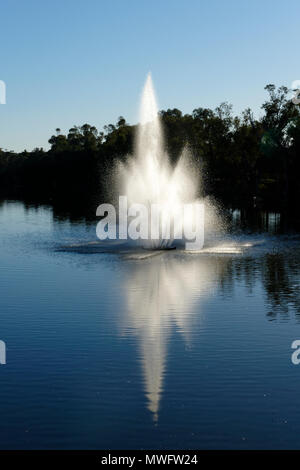 Wasser Brunnen auf dem Avon River, Northam, Western Australia Stockfoto