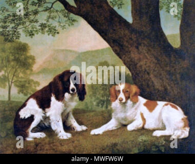 . Englisch: Öl auf Leinwand (39' x 49'). Zwei Spaniels, "Jock" und "Shoot", in einer waldreichen Landschaft. Signiert und datiert: "Geo. Stubbs pinx/1803.". 1803. George Stubbs 317 Jock und Schießen, zwei Spaniels vom Earl Fitzwilliam Stockfoto