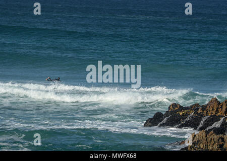 Surfen aus langbaai Strand auf der Hermanus an der Küste zu Fuß, Garden Route, Südafrika Stockfoto