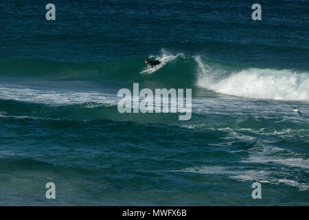 Surfen aus langbaai Strand auf der Hermanus an der Küste zu Fuß, Garden Route, Südafrika Stockfoto