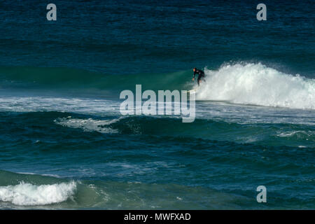 Surfen aus langbaai Strand auf der Hermanus an der Küste zu Fuß, Garden Route, Südafrika Stockfoto