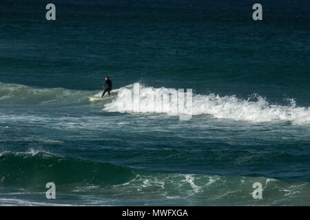 Surfen aus langbaai Strand auf der Hermanus an der Küste zu Fuß, Garden Route, Südafrika Stockfoto