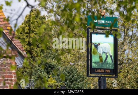 Zeichen für das Lamb Inn Pub im Vereinigten Königreich, einem der Greene King Zweige der öffentlichen Haus. Britischen pub unterzeichnen. Stockfoto