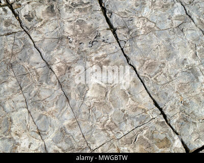 Die getrockneten Schlamm in mudstone Rock gebildet, Glen Scaladal Bay (Cladach ein ghlinne) in der Nähe von Elgol, Isle of Skye, Schottland, Großbritannien Stockfoto