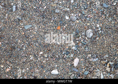 Kieselsteine am Meer. Kiesel Hintergrund Stockfoto