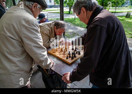 Lokale Männer Schach spielen In einem Park, Odessa, Ukraine Stockfoto