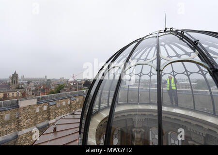 Bauunternehmer Michael Braun inspiziert die gewölbte Laterne in der Grade I Eingang Decke am Fitzwilliam Museum in Cambridge, aufgelistet nach einer Millionen Pfund Conservation Project. Stockfoto