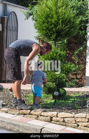 Thuja oder Buchsbaum mit einer Heckenschere in Form schneiden  Stockfotografie - Alamy