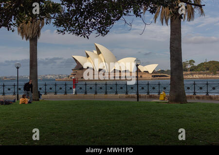 Das Sydney Opera House, die durch die Bäume Stockfoto