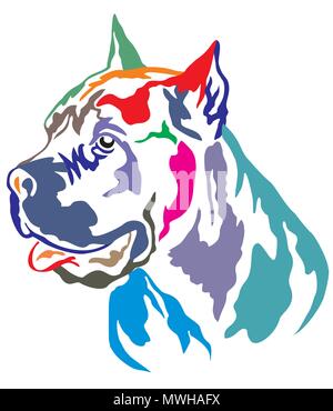 Bunt dekorativ Portrait im Profil von Hund Cane Corso Italiano, Vector Illustration in verschiedenen Farben auf weißem Hintergrund Stock Vektor