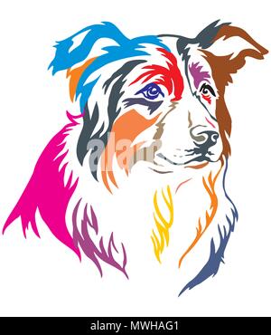 Bunt dekorativ Portrait von Hund Border Collie, Vector Illustration in verschiedenen Farben auf weißem Hintergrund Stock Vektor