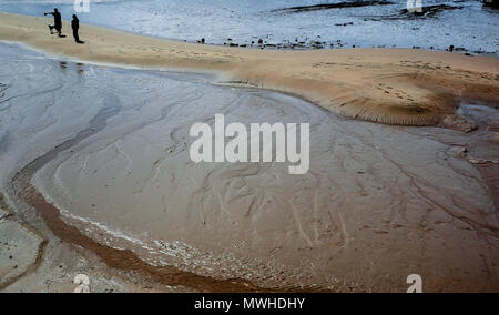 Hund Wanderer Navigieren auf einer sicheren und trockenen Weg über das Wattenmeer und Strand bei Ebbe in Weston-super-Mare, Somerset, England. Stockfoto