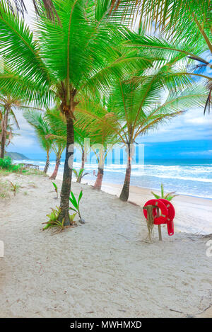 Itacaré, Brasilien - Dezember 11, 2016: Strand und Meer mit Palmen und ein Ring Rettungsschwimmer Boje auf dem Hintergrund Stockfoto