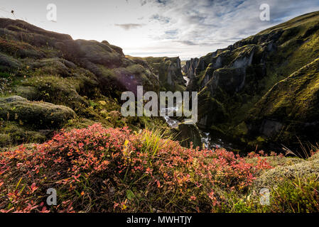 Wild Fjadrargljufur Canyon im Süden Islands Stockfoto